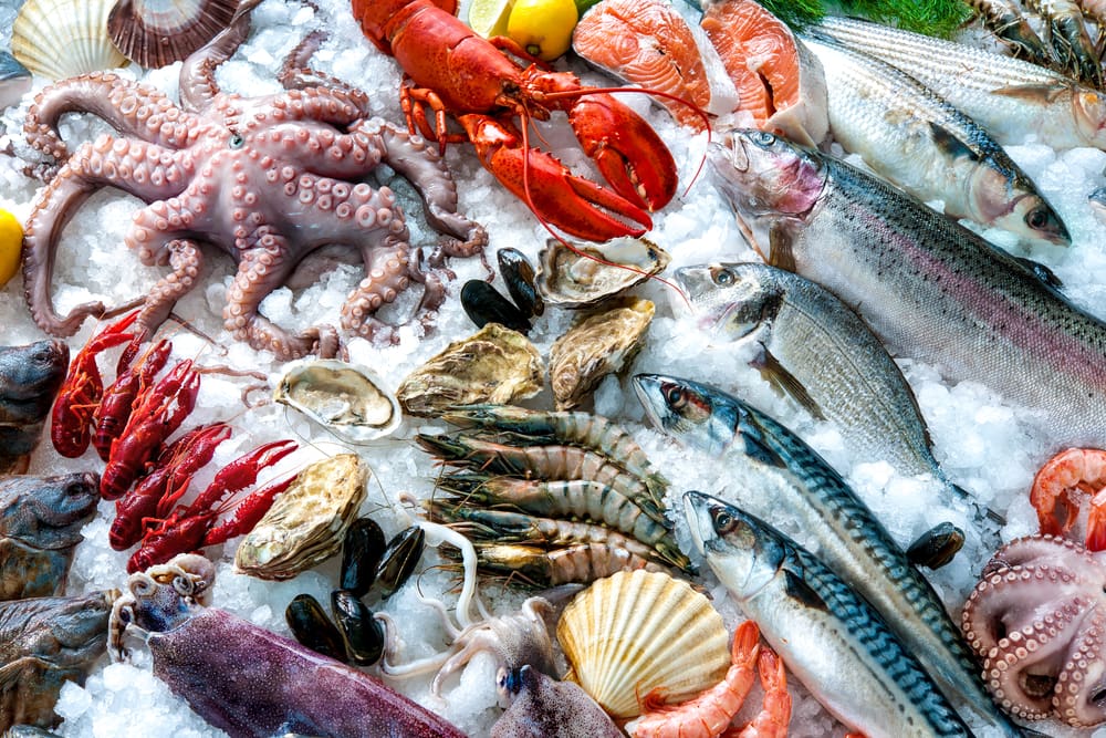 Diving into the seafood opportunity in China - Focus - China Britain ...